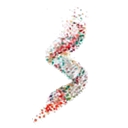 NSRX logo