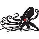 PNG.V logo