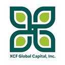 SAFX logo