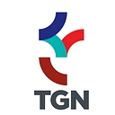 TGN4D.BA logo